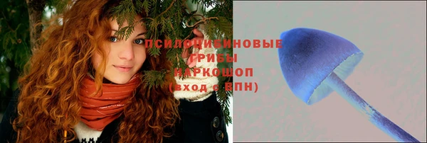 гашиш Осташков