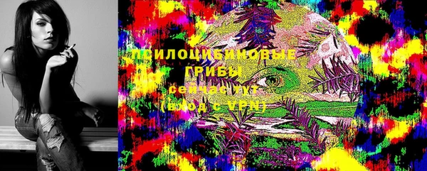 герыч Осинники