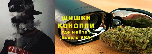 прущие грибы Няндома
