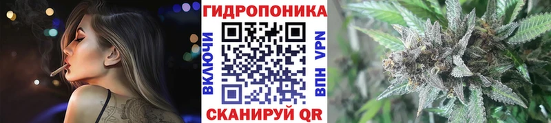 Купить где  Солигалич  Канабис марихуана 